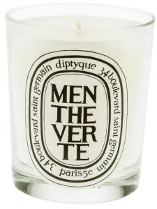 Ароматическая свеча Menthe Verte Diptyque, белый