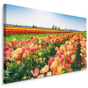 Картина на холсте Muralo TULPEN Blumen Landschaft 3D, 30x20x20 см цвет blau/grün/rot/weiß