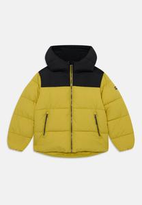 Зимняя куртка Icepeak KENMARE UNISEX, Olive/Yellow