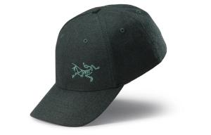Кепка Arcteryx с логотипом, черный / зеленый
