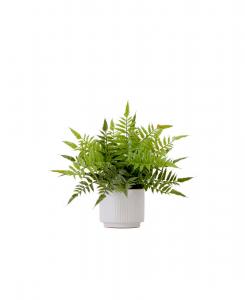 Искусственный бостонский папоротник высотой 33 см с декоративным кашпо Nearly Natural, зеленый