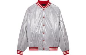 Куртка мужская серебряный Celine, серебряный