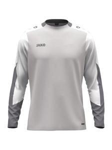 Спортивная толстовка JAKO Dynamic, Grey/Anthracite