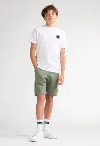 Шорты норте Petrol Industries, Sage