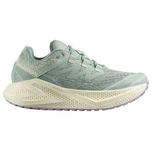 Женские кроссовки Aero Glide 3 grvl Salomon, мультиколор