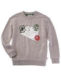 Свитшот расслабленного кроя с принтом Scotch & Soda, серый