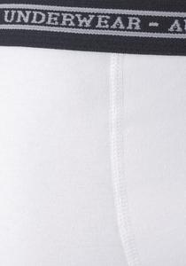 Боксеры AUTHENTIC UNDERWEAR Boxer, цвет grau-meliert, schwarz, weiß, grau