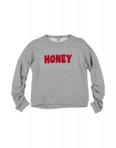 Толстовка Dixie, серый