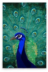 Картина на холсте A.S. Création Peacock цвет grünblau