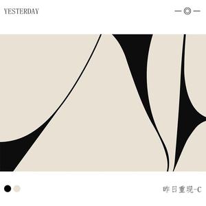 Y U-LIVE Ковер 240х400 см, светлый, для гостиной/спальни, легкий, Yesterday Revisited C