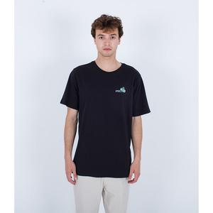Футболка с коротким рукавом Hurley Everyday Oasis Of Pleasure, черный