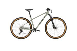 Горный велосипед Carver Strict 150 - 29 дюймов - Diamant - 2025, цвет Grün|pale green