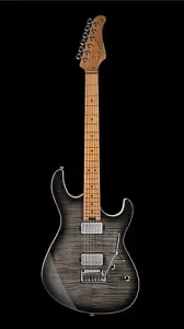 Электрогитара Cort G290FATIITBB с двойным вырезом. Цвет: черный с эффектом выгорания
