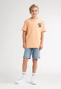 Футболка с принтом на спине и изображением мескаля Petrol Industries, Tropical Orange