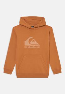 Худи Quiksilver LOGO HOODIE YOUTH UNISEX, Almond/Light Brown