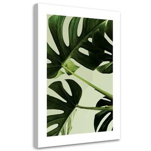 Картина арт-принт KUNSTLOFT Monstera Leaves Close-Up, зеленый