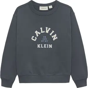 Толстовка Calvin Klein IB0IB02619, серый