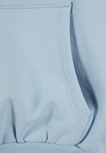 Толстовка Small Signature Os Karl Kani, светло-голубой