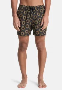 Плавки everyday с принтом volley 15 Quiksilver, Kvj