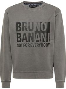 Толстовка Bruno Banani Birdwhistle, Mottled Grey