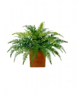 Искусственный папоротник высотой 22 дюйма в декоративном кашпо Nearly Natural, зеленый
