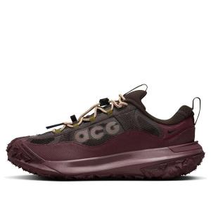 Кроссовки acg mountain fly 2 low gtx Nike, коричневый
