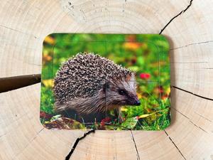 Ежик, деревянный пазл с четырьмя элементами, основа с подписью, первый пазл Inna marka