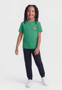 Футболка унисекс с принтом heritage Quiksilver, Leprechaun