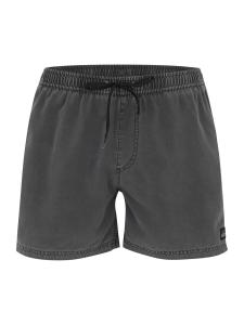 Шорты для серфинга QUIKSILVER EVERYDAY, черный