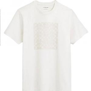 COACH Футболка SS24 мужская серая белая