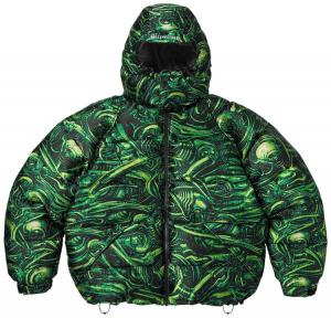 Куртка Supreme H.R. Giger Jacquard Down Puffer Jacket 'Green', зеленый