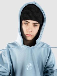 Худи Blue Tomato Mini Logo Hoodie, skyway