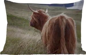 Подушка для улицы - Шотландский высокогорный скот - Природа - Морской - 60 x 40 см - Устойчива к погодным условиям - Подушка для отдыха - Декоративная подушка - Подушка для дома MuchoWow