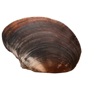 Мягкая милая кукла Creative Soft Cute Shell Bitter purchase