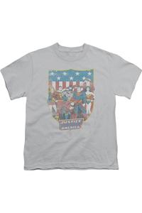 DC Comics Лига Справедливости Америки футболка с американским щитом для детей Gildan, серебряный