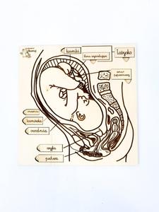 В маминых животах подвижные элементы с подписями Inna marka