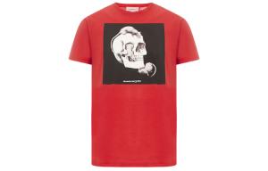 Футболка мужская Alexander McQueen