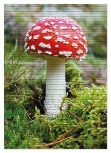 Коврик для душа Wallario, нескользящий коврик, коврик для ванной, коврик для ног, мухомор в лесу, размер ок. 70 х 50 см, черный