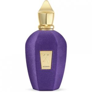 V Collection by Xerjoff Accento Парфюмированная вода-спрей 100 мл