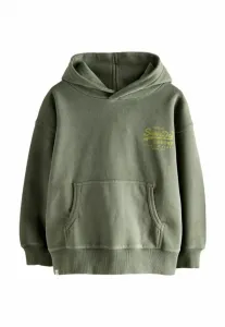 Толстовка с капюшоном Superdry & Co, Dark Green