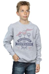 Толстовка для квиддича в Хогвартсе Harry Potter, серый