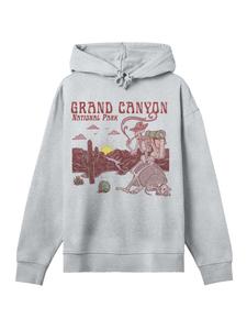 Толстовка F4NT4STIC US National Parks Grand Canyon Sunrise, Grey