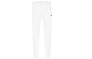 GOLF PRO Спортивные Брюки Мужские DESCENTE, Белый