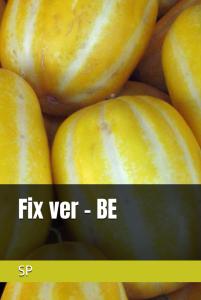 Fix ver - BE (Independently published)