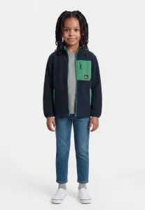 Флисовая куртка унисекс «ледяные поля» Quiksilver, Dark Blue