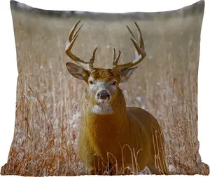 Подушка для улицы - Олень - Трава - Осень - Животные - Природа - Рога - 50x50 см - Устойчива к погодным условиям - Подушка для отдыха - Удобная - Подушка с изображением MuchoWow