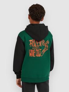 Толстовка O'Neill Fwc'Play Kids Hoodie, emerald envy colour block