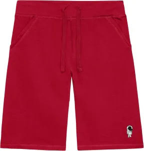 Мужские шорты DALIX Astronaut с вышивкой, мягкий флис, свободный крой