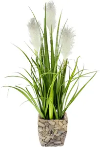 И.ГЕ.А. Искусственное растение "Пампасная трава", с кашпо, искусственная пампасная трава I.GE.A. 20х55х20 см, белый