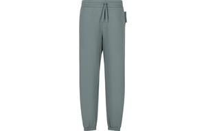 Брюки повседневные ARMANI EXCHANGE серо-зеленые